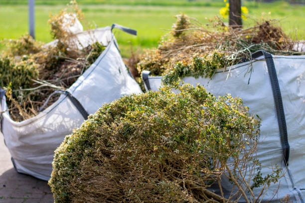 Best Junk Hauling Services  in Canton, GA